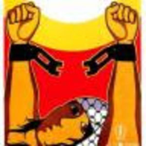 Meet your Posher, Charlotte